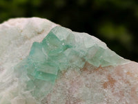 Natural Green Fluorite Cluster Specimens x 3 From Mandrosonoro, Madagascar
