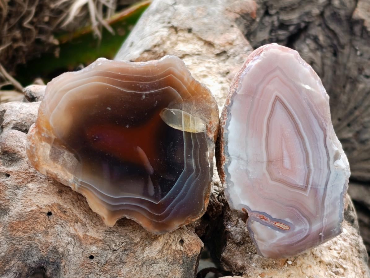 Polished On One Side Red Shashe River Agate Nodules x 35 From Shashe River, Zimbabwe