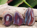 Polished On One Side Red Shashe River Agate Nodules x 35 From Shashe River, Zimbabwe