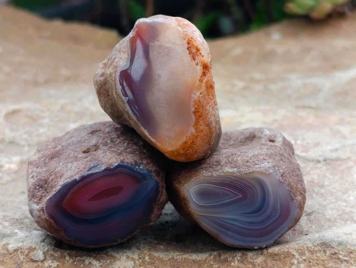 Polished On One Side Red Shashe River Agate Nodules x 35 From Shashe River, Zimbabwe