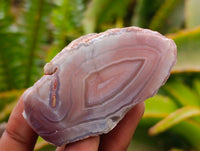 Polished On One Side Red Shashe River Agate Nodules x 35 From Shashe River, Zimbabwe