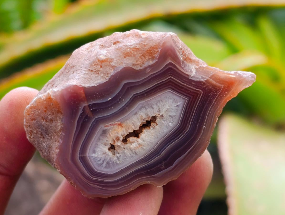 Polished On One Side Red Shashe River Agate Nodules x 35 From Shashe River, Zimbabwe