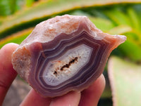 Polished On One Side Red Shashe River Agate Nodules x 35 From Shashe River, Zimbabwe
