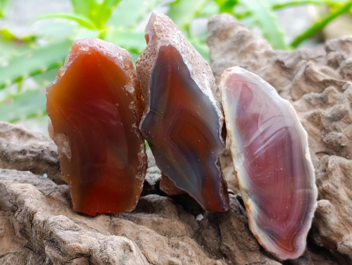 Polished On One Side Red Shashe River Agate Nodules x 35 From Shashe River, Zimbabwe