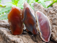 Polished On One Side Red Shashe River Agate Nodules x 35 From Shashe River, Zimbabwe