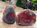 Polished On One Side Red Shashe River Agate Nodules x 35 From Shashe River, Zimbabwe