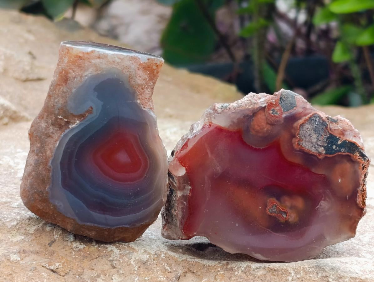 Polished On One Side Red Shashe River Agate Nodules x 35 From Shashe River, Zimbabwe