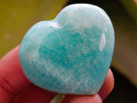 Polished A Grade Amazonite Hearts x 20 From Madagascar