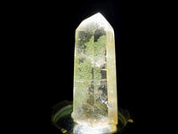 Polished Chlorite Moss Quartz Crystals x 14 From Mandoto, Madagascar