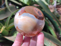 Polished Polychrome Jasper Spheres x 3 From NW Coast, Madagascar