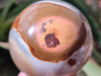 Polished Polychrome Jasper Spheres x 3 From NW Coast, Madagascar