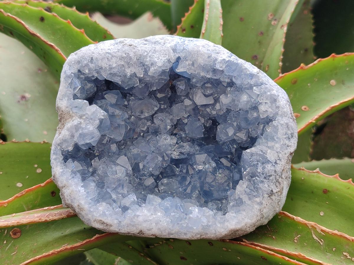 Natural Blue Celestite Geode Specimens x 3 From Sakoany, Madagascar