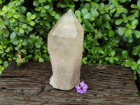 Polished Angolan Large Smokey Quartz Crystal x 1 From Angola