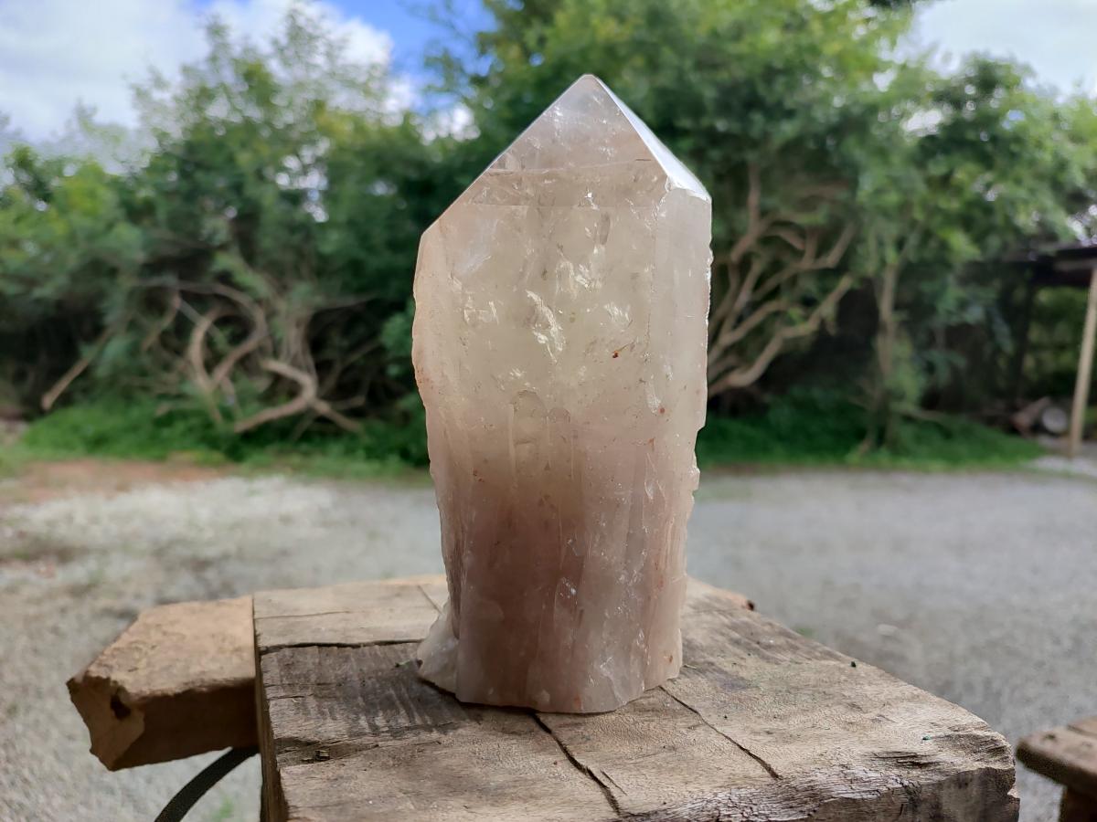 Polished Angolan Large Smokey Quartz Crystal x 1 From Angola