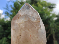 Polished Angolan Large Smokey Quartz Crystal x 1 From Angola