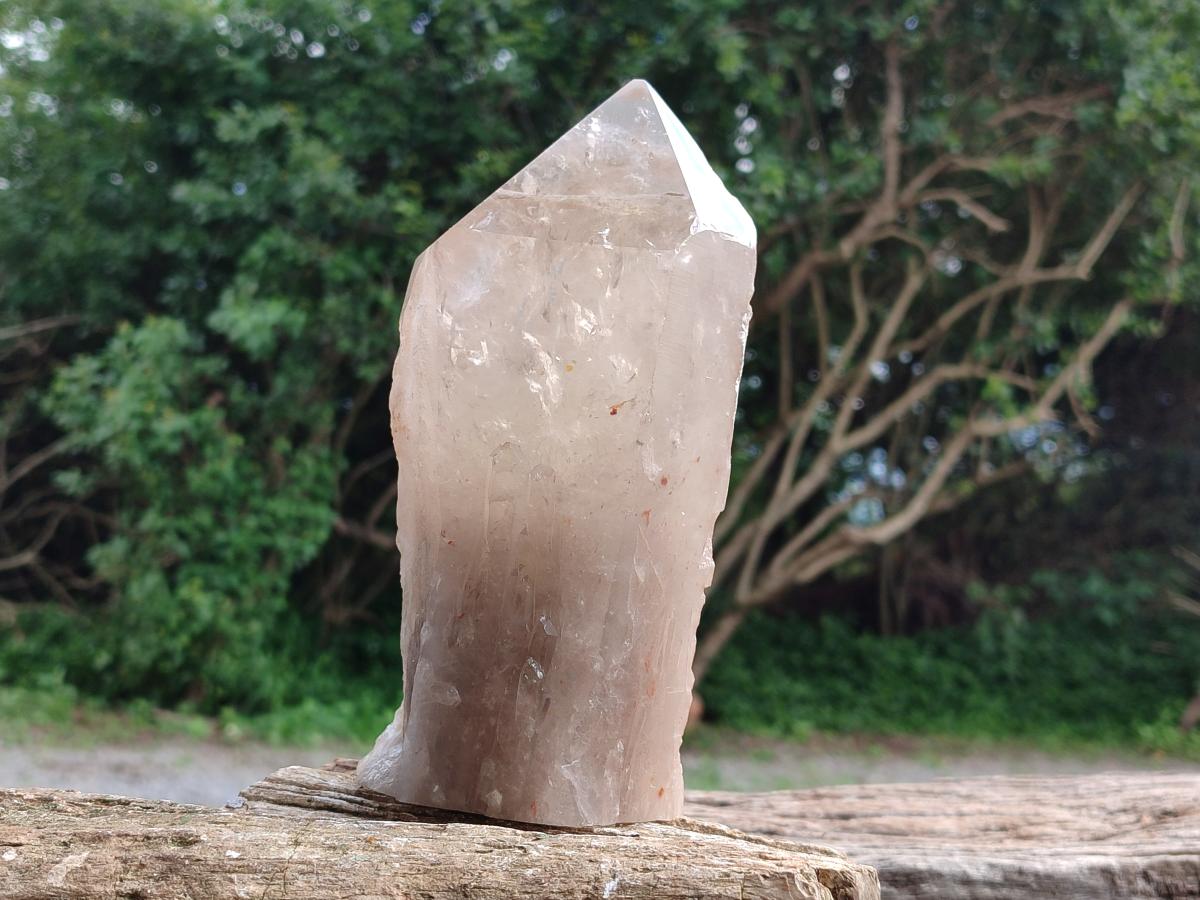 Polished Angolan Large Smokey Quartz Crystal x 1 From Angola