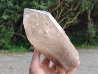 Polished Angolan Large Smokey Quartz Crystal x 1 From Angola