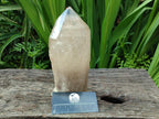 Polished Angolan Large Smokey Quartz Crystal x 1 From Angola