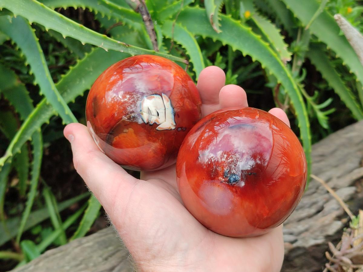 Polished Carnelian Agate Gemstone Spheres x 3 From Madagascar