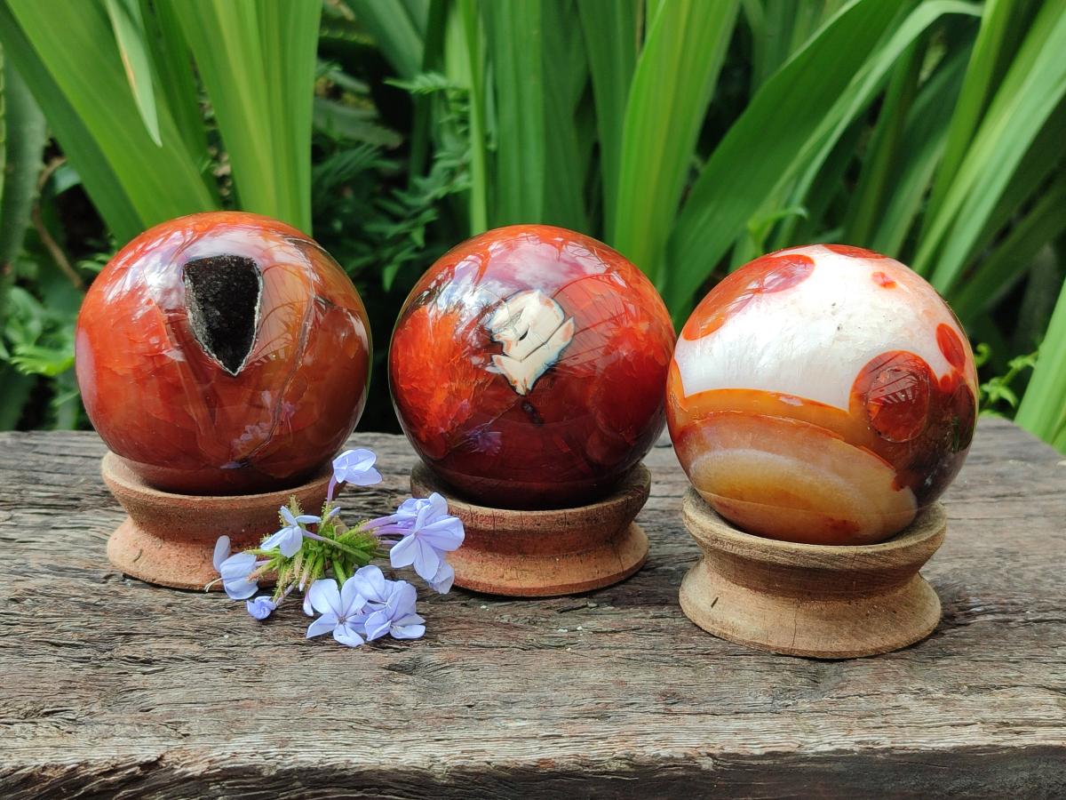 Polished Carnelian Agate Gemstone Spheres x 3 From Madagascar