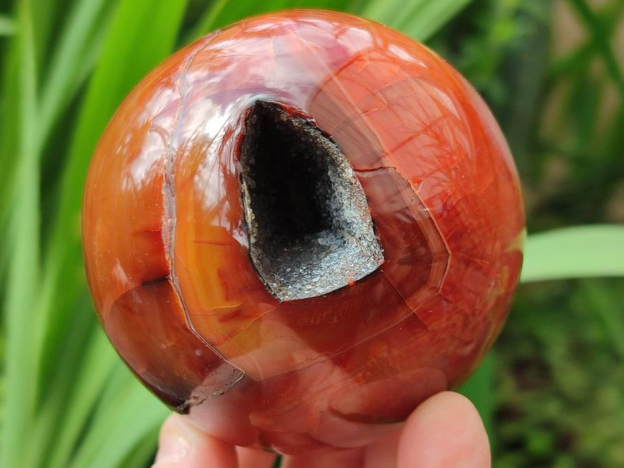 Polished Carnelian Agate Gemstone Spheres x 3 From Madagascar