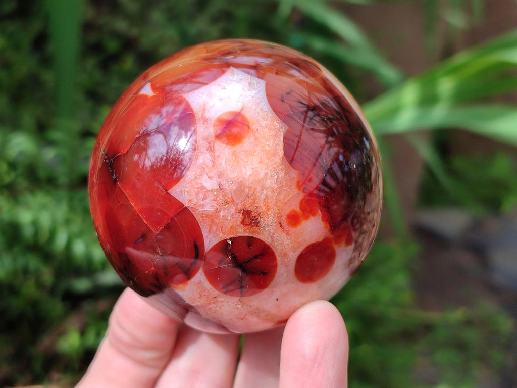 Polished Carnelian Agate Gemstone Spheres x 3 From Madagascar