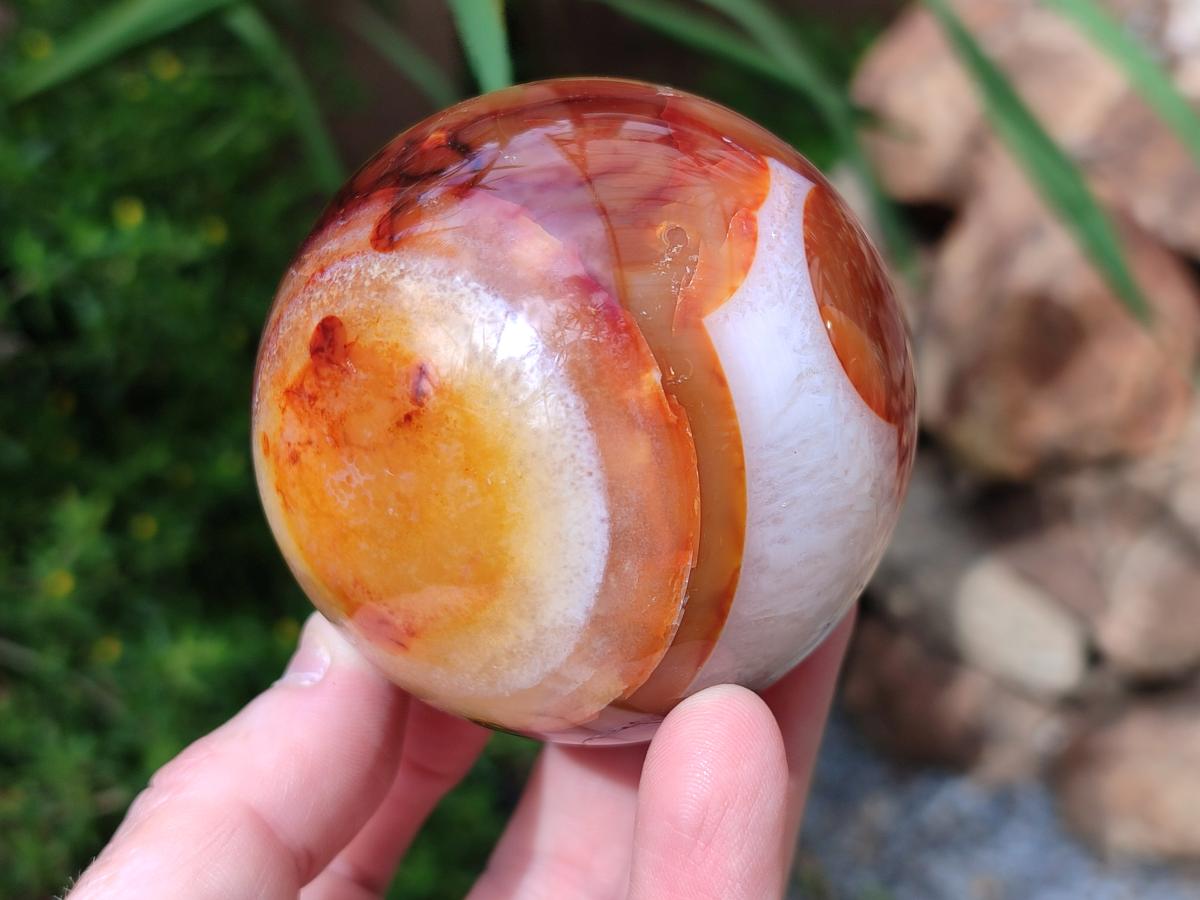 Polished Carnelian Agate Gemstone Spheres x 3 From Madagascar