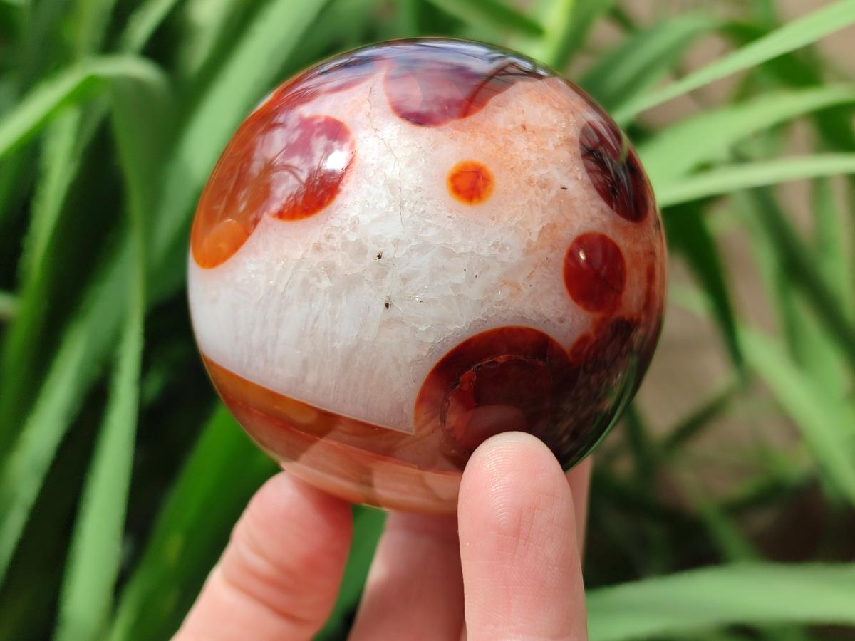 Polished Carnelian Agate Gemstone Spheres x 3 From Madagascar