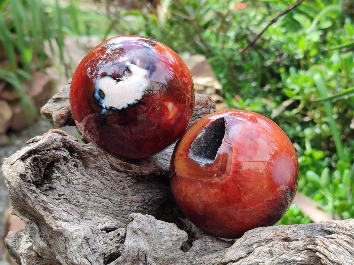 Polished Carnelian Agate Gemstone Spheres x 3 From Madagascar
