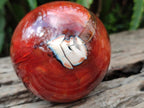 Polished Carnelian Agate Gemstone Spheres x 3 From Madagascar