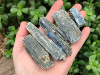 Natural Large Blue Kyanite Crystals x 29 From Karoi, Zimbabwe