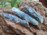 Natural Large Blue Kyanite Crystals x 29 From Karoi, Zimbabwe