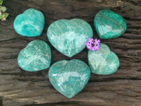 Polished Amazonite Hearts x 6 From Madagascar