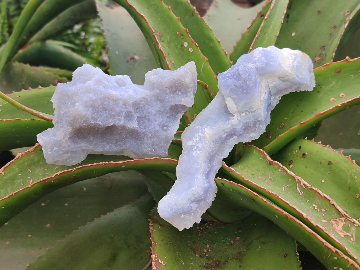 Natural Large Etched Blue Chalcedony Geodes x 12 From Nsanje, Malawi