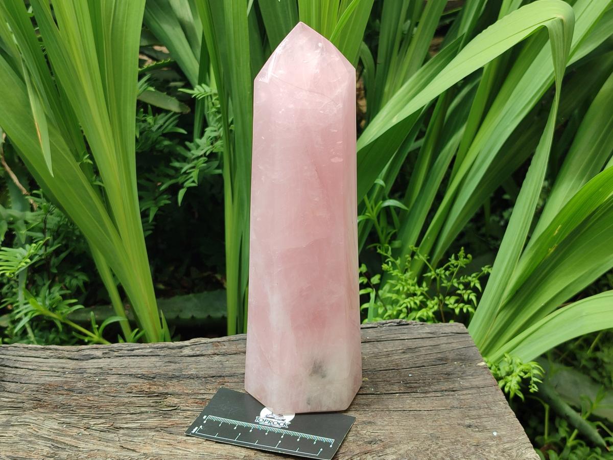 Polished Rose Quartz Display Crystal x 1 From Madagascar