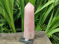 Polished Rose Quartz Display Crystal x 1 From Madagascar