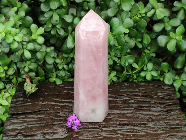 Polished Rose Quartz Display Crystal x 1 From Madagascar