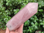 Polished Rose Quartz Display Crystal x 1 From Madagascar