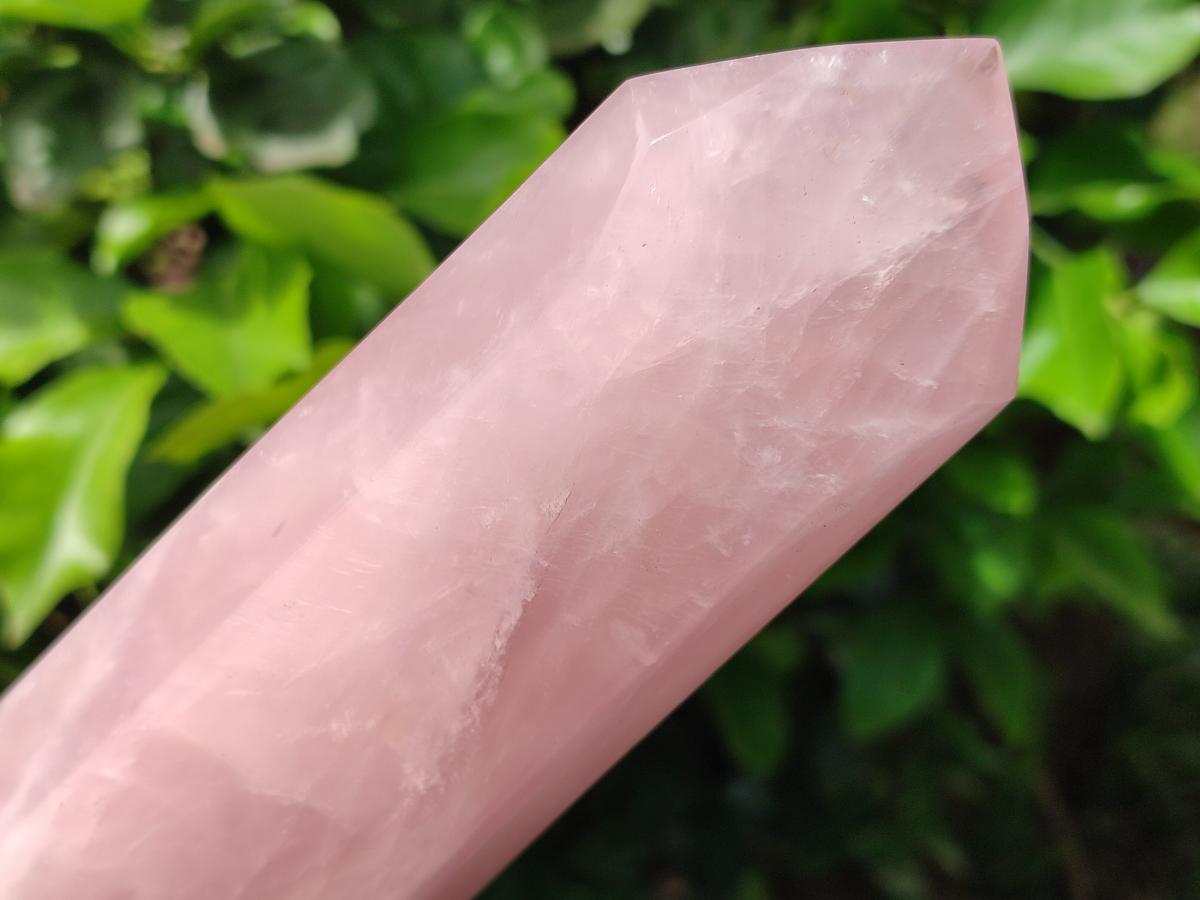 Polished Rose Quartz Display Crystal x 1 From Madagascar