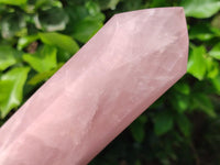 Polished Rose Quartz Display Crystal x 1 From Madagascar