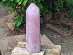 Polished Rose Quartz Display Crystal x 1 From Madagascar