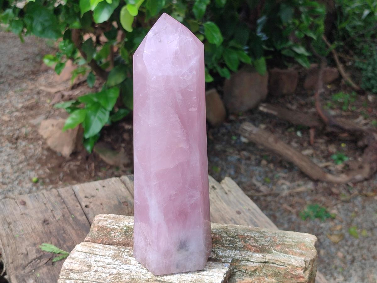 Polished Rose Quartz Display Crystal x 1 From Madagascar