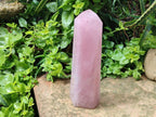 Polished Rose Quartz Display Crystal x 1 From Madagascar
