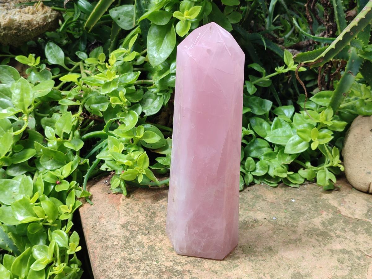 Polished Rose Quartz Display Crystal x 1 From Madagascar