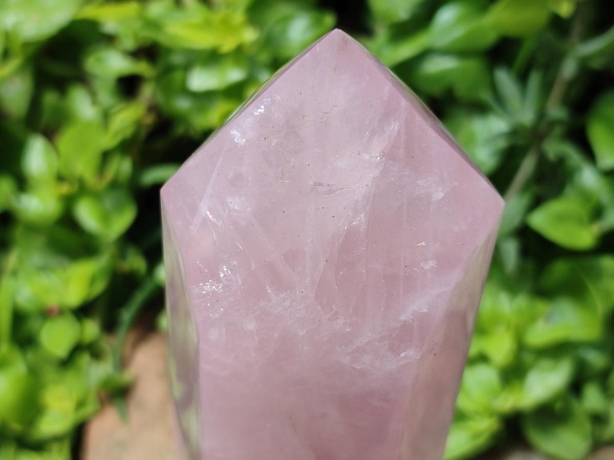 Polished Rose Quartz Display Crystal x 1 From Madagascar