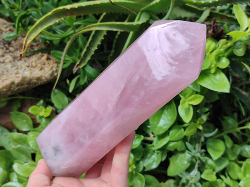 Polished Rose Quartz Display Crystal x 1 From Madagascar - Toprock Gemstones and Minerals 