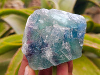 Natural Watermelon Fluorite Cobbed Specimens x 6 From Uis, Namibia