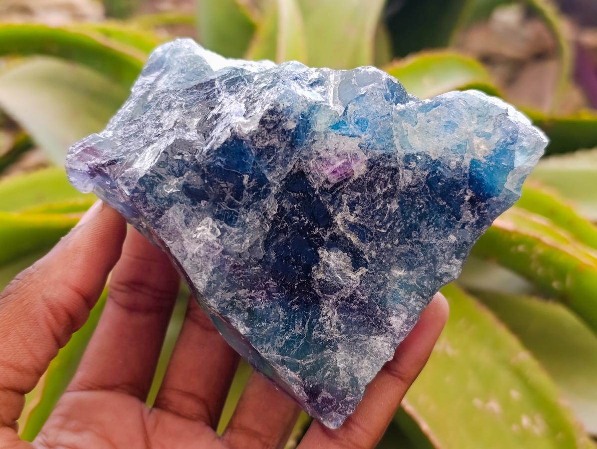 Natural Watermelon Fluorite Cobbed Specimens x 6 From Uis, Namibia