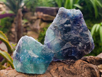 Natural Watermelon Fluorite Cobbed Specimens x 6 From Uis, Namibia