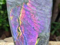 Polished Rare Purple Sunset Flash Labradorite Standing Free Form x 1 From Tulear, Madagascar